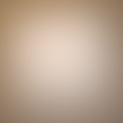 2-in-1 Power Bank and 65W Wall Charger product animation